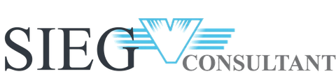 Sieg Consultant Delhi